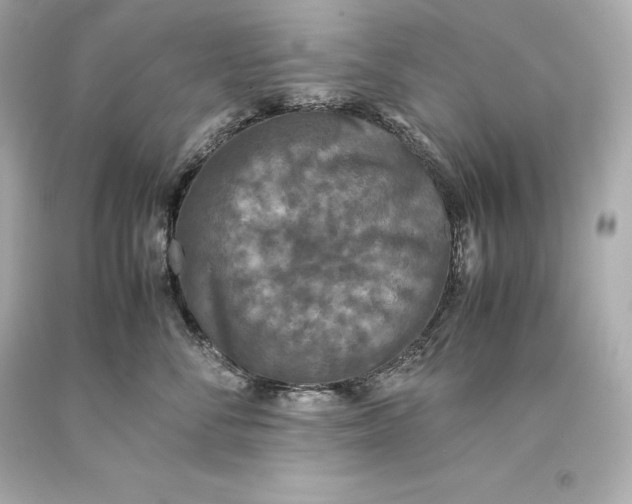 X0000093370716200711011228