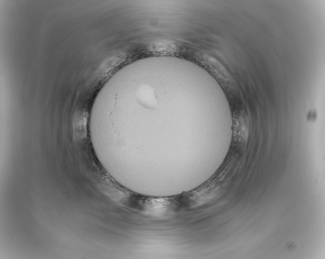 X0000093370717200711011228