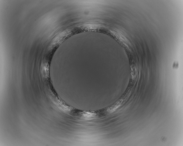 X0000093370718200711011228