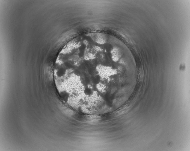 X0000093370719200711011228