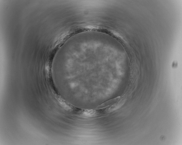 X0000093370720200711011228