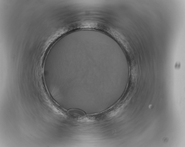 X0000093370721200711011227