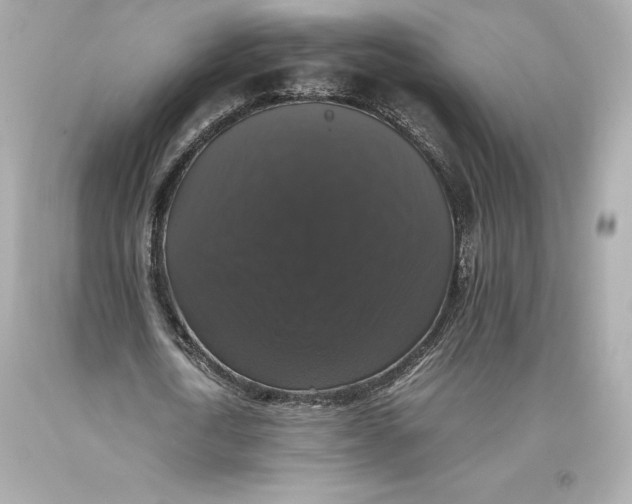 X0000093370722200711011227