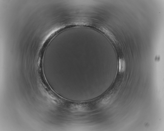 X0000093370723200711011227