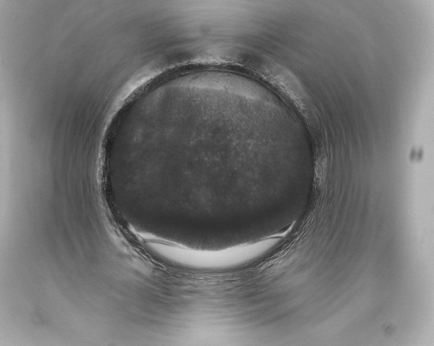 X0000093370724200711011228