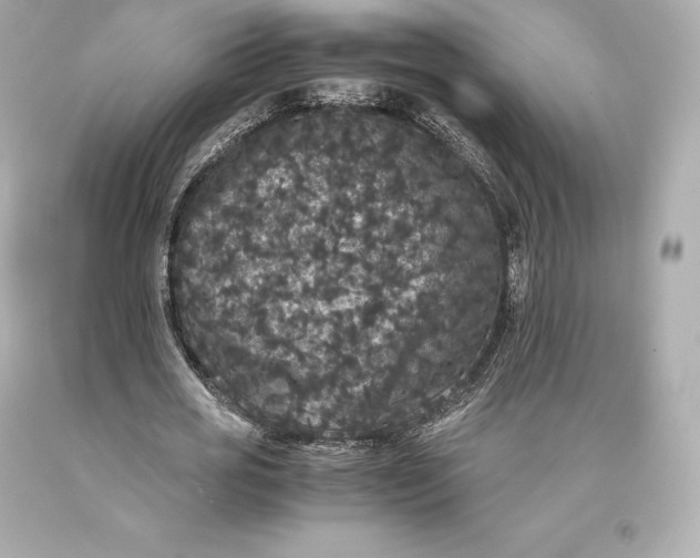 X0000093370725200711011228