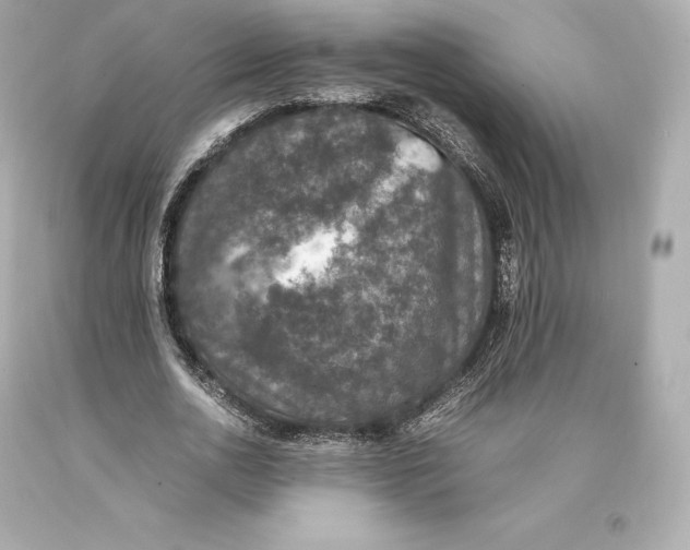 X0000093370726200711011228