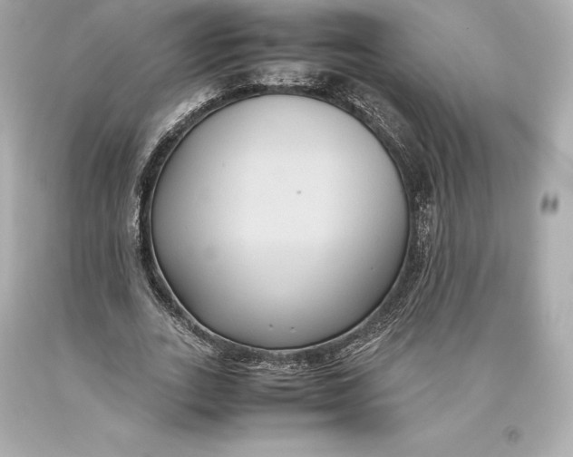 X0000093370727200711011228