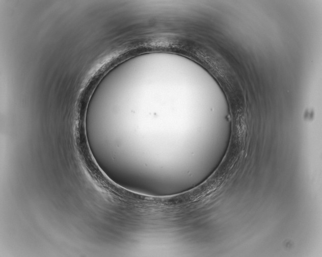 X0000093370728200711011228