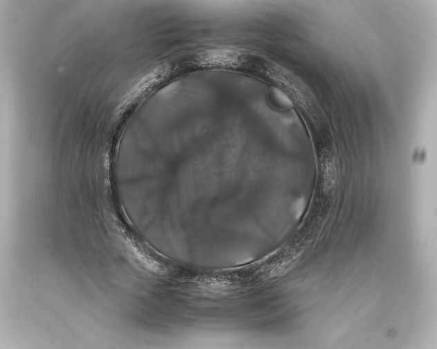 X0000093370729200711011228