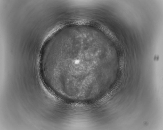 X0000093370730200711011228