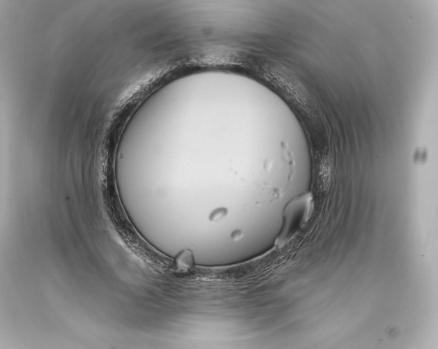 X0000093370732200711011228