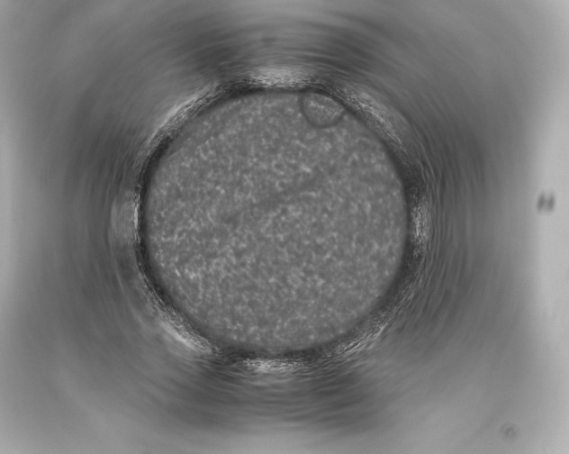 X0000093370733200711011228