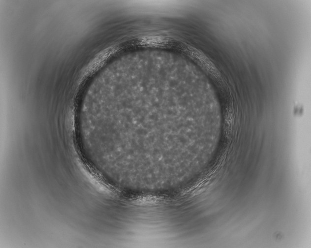 X0000093370734200711011228