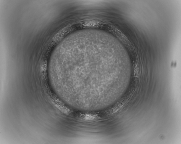 X0000093370737200711011228