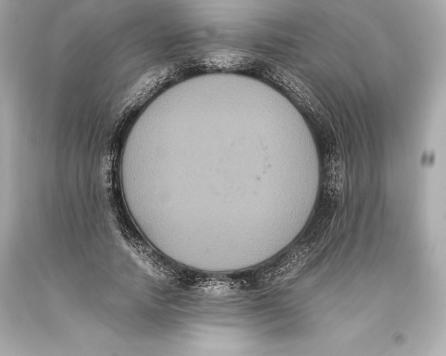 X0000093370738200711011228