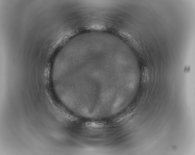 X0000093370739200711011228