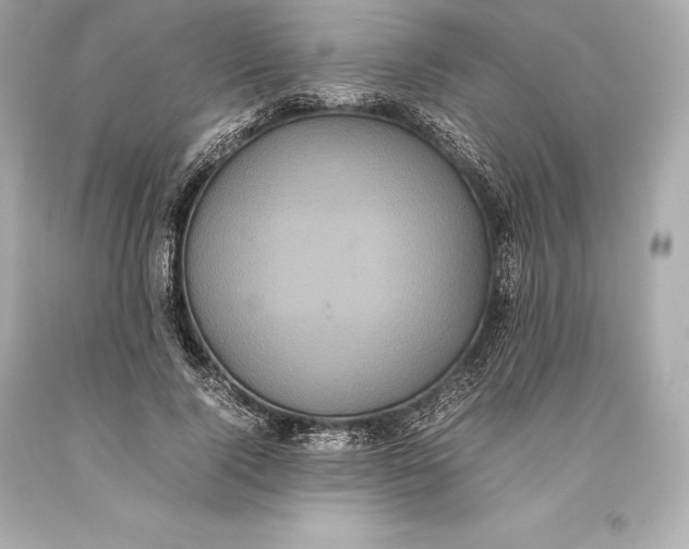 X0000093370740200711011228