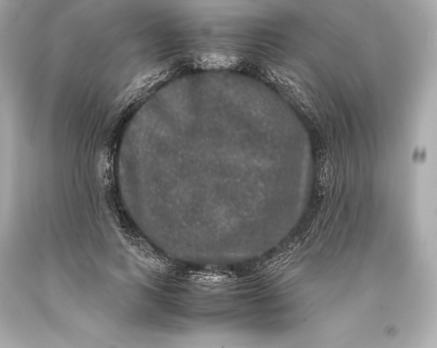 X0000093370743200711011228