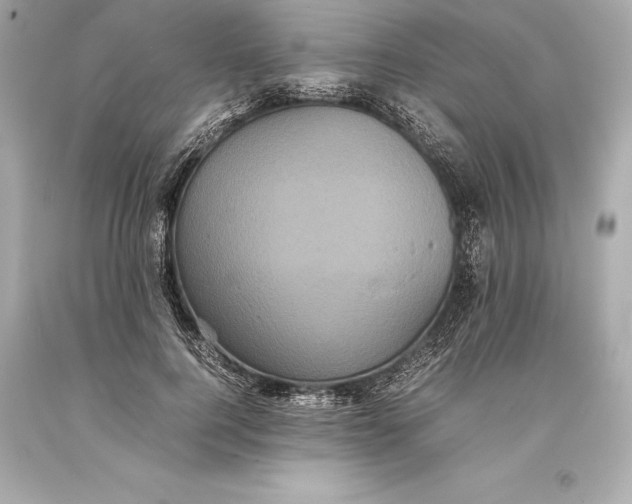 X0000093370744200711011228