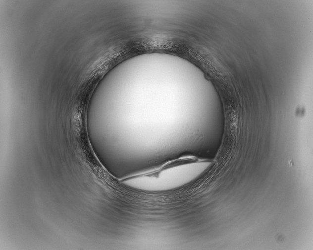 X0000093370746200711011228