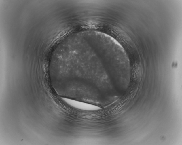 X0000093370747200711011228