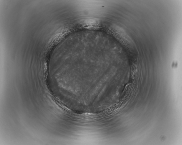 X0000093370748200711011228