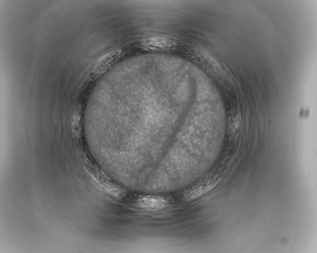 X0000093370749200711011228