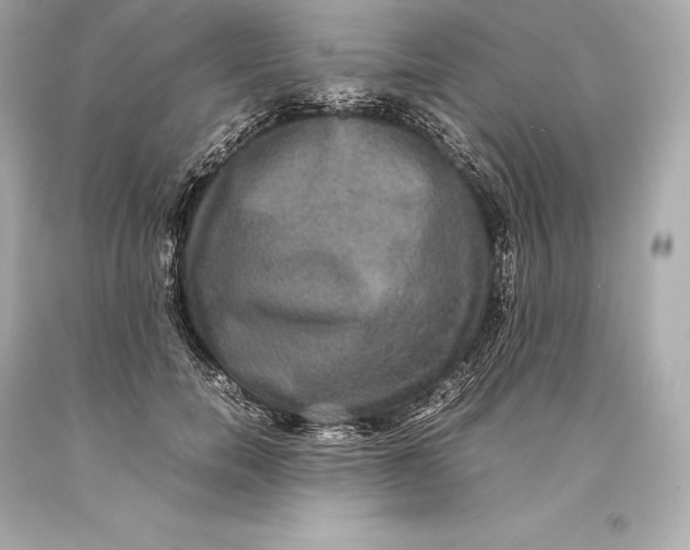 X0000093370750200711011228