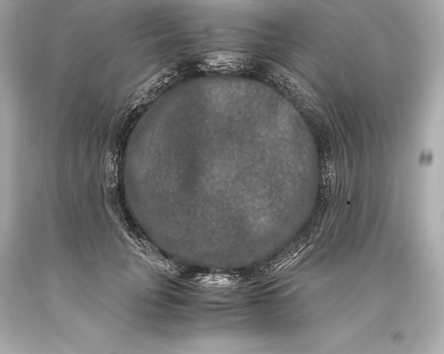 X0000093370751200711011228