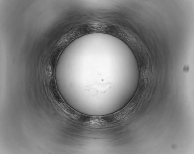 X0000093370752200711011228