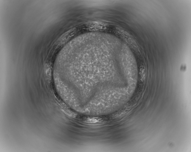 X0000093370753200711011228