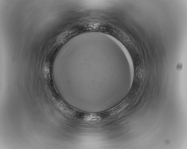 X0000093370754200711011228