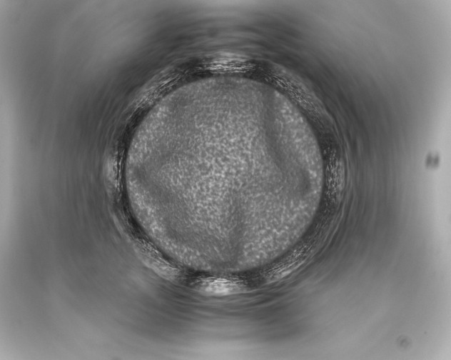 X0000093370755200711011228