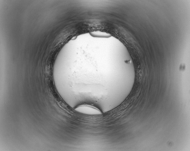 X0000093370756200711011228