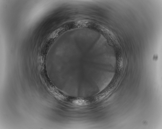 X0000093370759200711011228