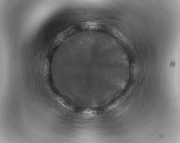 X0000093370760200711011228