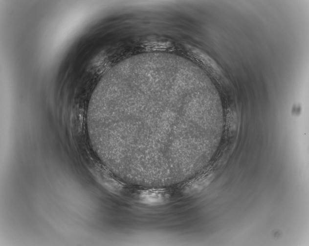 X0000093370761200711011228