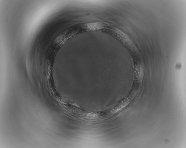 X0000093370762200711011228