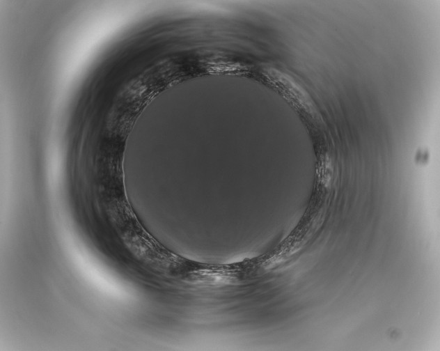 X0000093370763200711011228