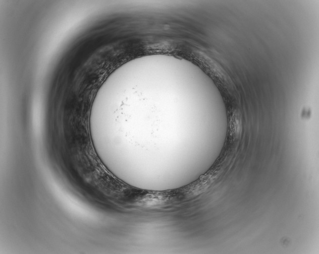 X0000093370764200711011228