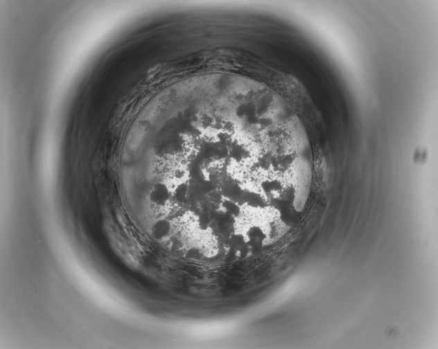 X0000093370765200711011228