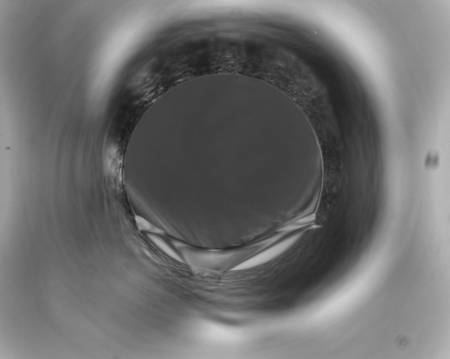 X0000093370766200711011228