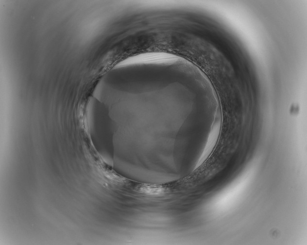 X0000093370767200711011228