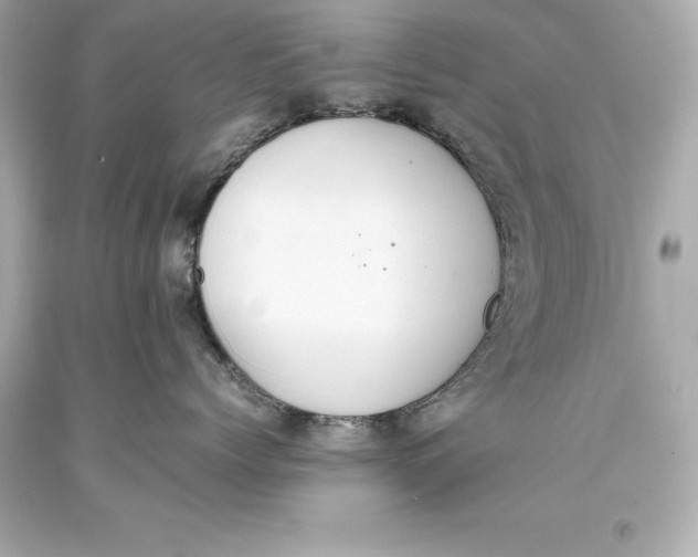 X0000093370768200711011228