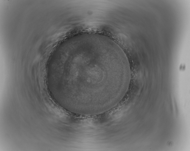 X0000093370769200711011227