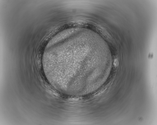 X0000093370771200711011227