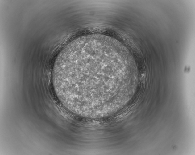 X0000093370772200711011227