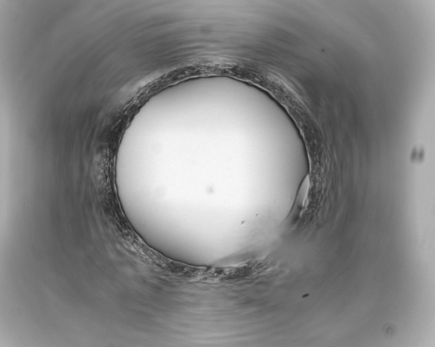 X0000093370773200711011227