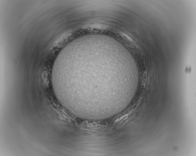 X0000093370774200711011227